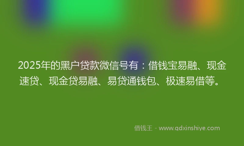 2025年的黑户贷款微信号有：借钱宝易融、现金速贷、现金贷易融、易贷通钱包、极速易借等。