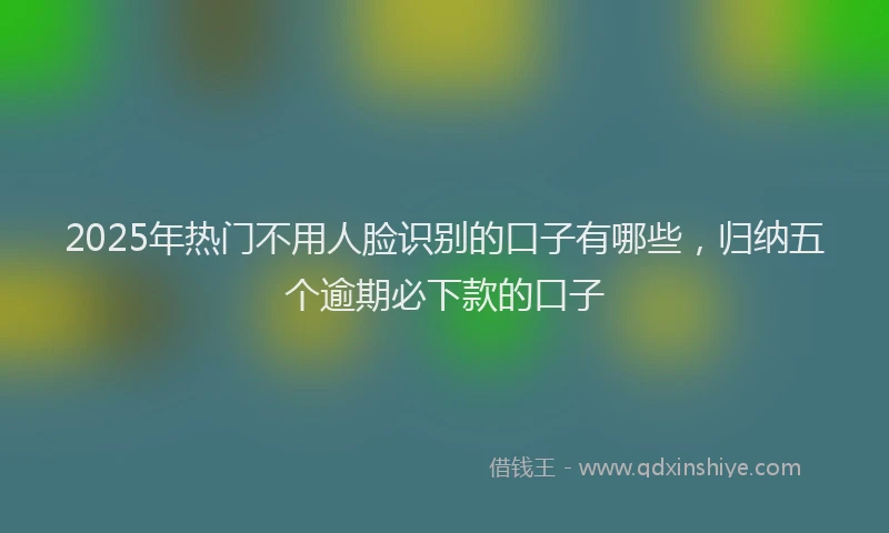 2025年热门不用人脸识别的口子有哪些，归纳五个逾期必下款的口子