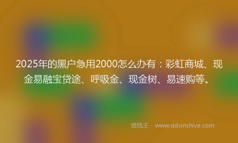 2025年的黑户急用2000怎么办有：彩虹商城、现金易融宝贷途、呼吸金、现金树、易速购等。