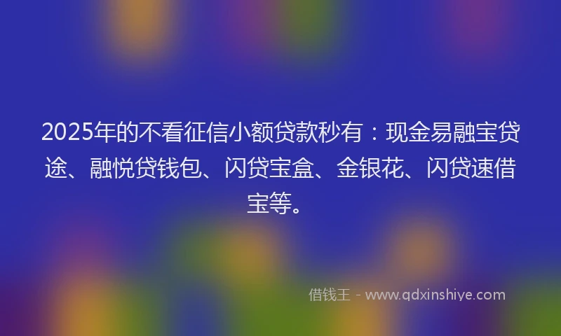2025年的不看征信小额贷款秒有:现金易融宝贷途、融悦贷钱包、闪贷宝盒、金银花、闪贷速借宝等。