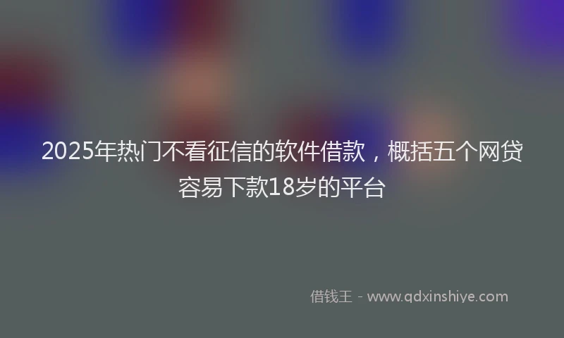 2025年热门不看征信的软件借款，概括五个网贷容易下款18岁的平台