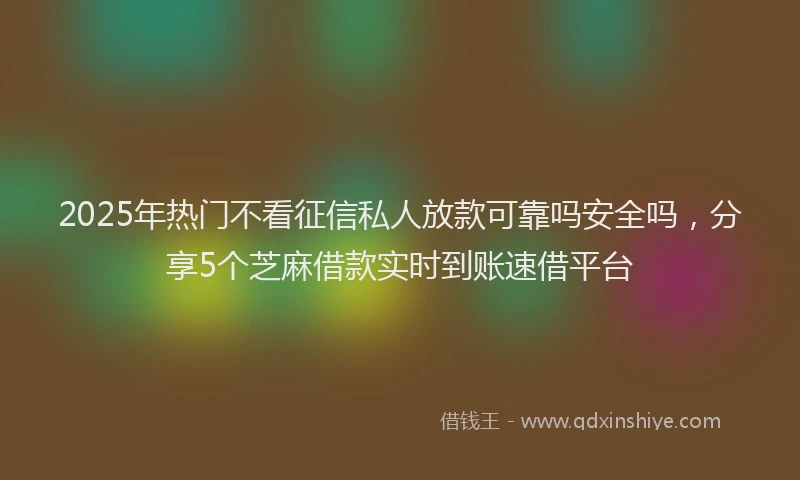 2025年热门不看征信私人放款可靠吗安全吗，分享5个芝麻借款实时到账速借平台