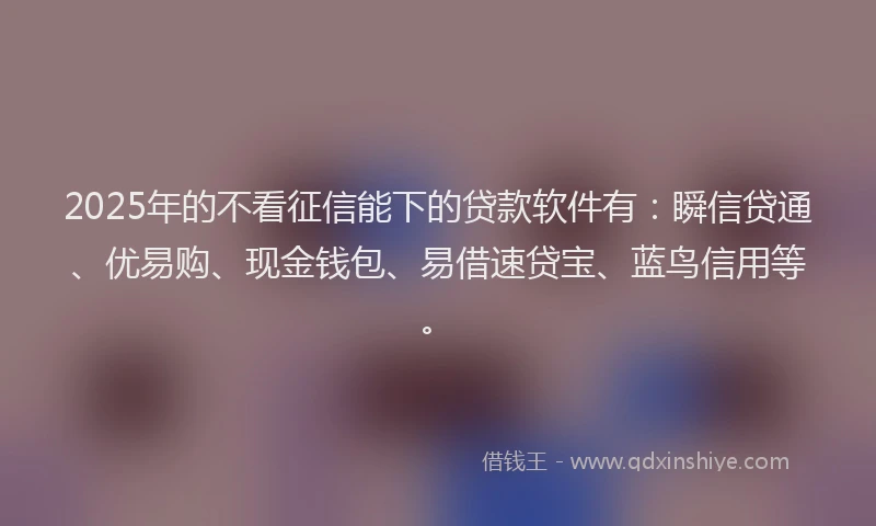2025年的不看征信能下的贷款软件有：瞬信贷通、优易购、现金钱包、易借速贷宝、蓝鸟信用等。