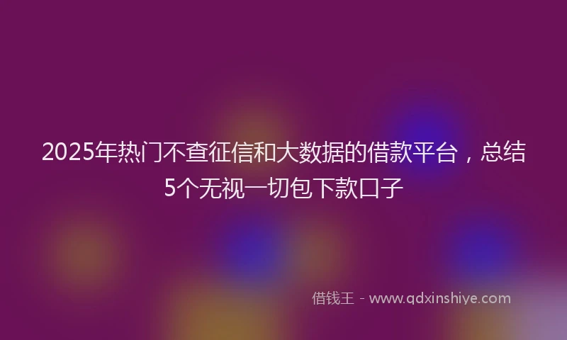 2025年热门不查征信和大数据的借款平台，总结5个无视一切包下款口子