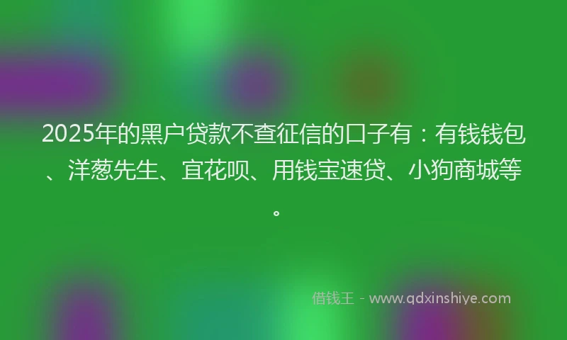 2025年的黑户贷款不查征信的口子有：有钱钱包、洋葱先生、宜花呗、用钱宝速贷、小狗商城等。