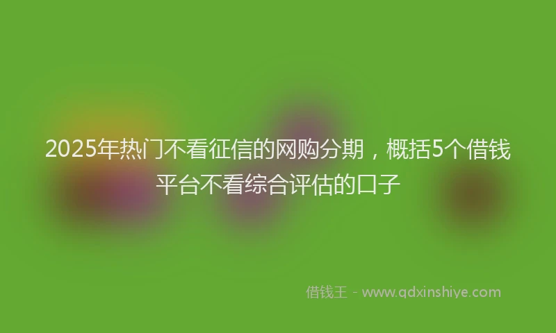 2025年热门不看征信的网购分期，概括5个借钱平台不看综合评估的口子