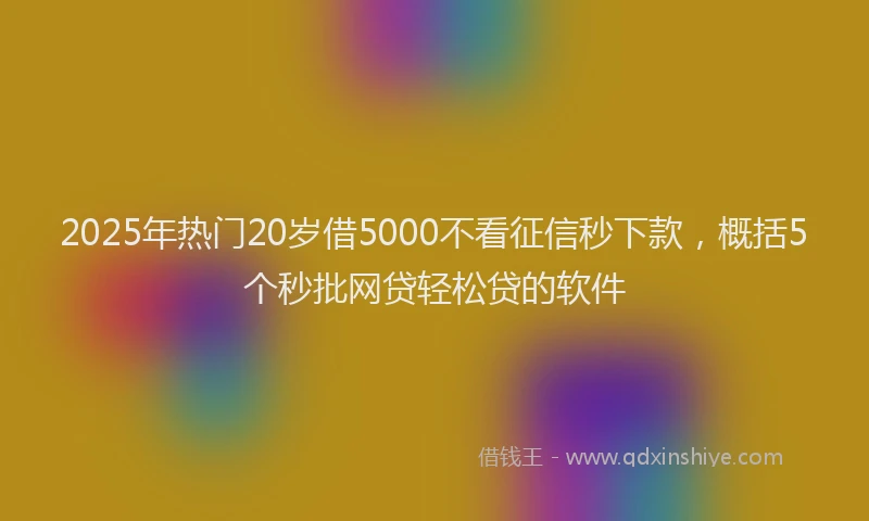 2025年热门20岁借5000不看征信秒下款，概括5个秒批网贷轻松贷的软件