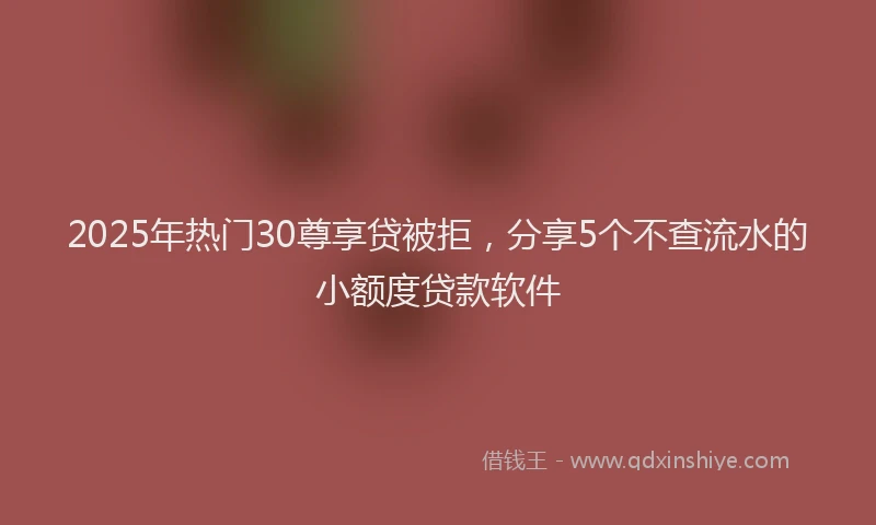 2025年热门30尊享贷被拒，分享5个不查流水的小额度贷款软件