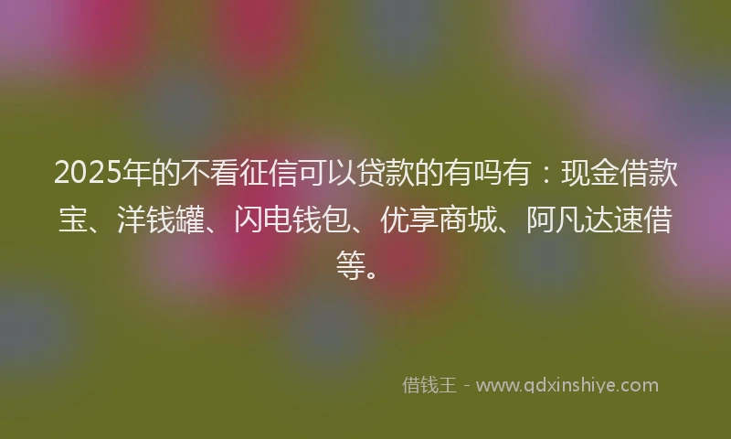 2025年的不看征信可以贷款的有吗有：现金借款宝、洋钱罐、闪电钱包、优享商城、阿凡达速借等。