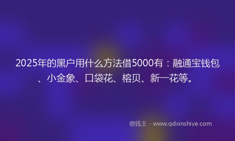 2025年的黑户用什么方法借5000有：融通宝钱包、小金象、口袋花、榕贝、新一花等。