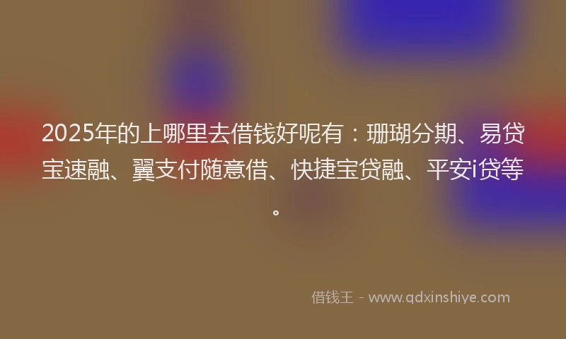 2025年的上哪里去借钱好呢有：珊瑚分期、易贷宝速融、翼支付随意借、快捷宝贷融、平安i贷等。