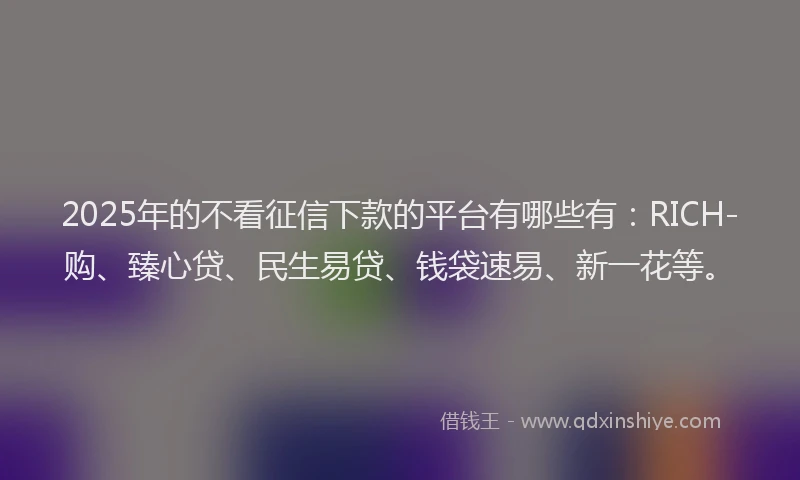 2025年的不看征信下款的平台有哪些有：RICH-购、臻心贷、民生易贷、钱袋速易、新一花等。
