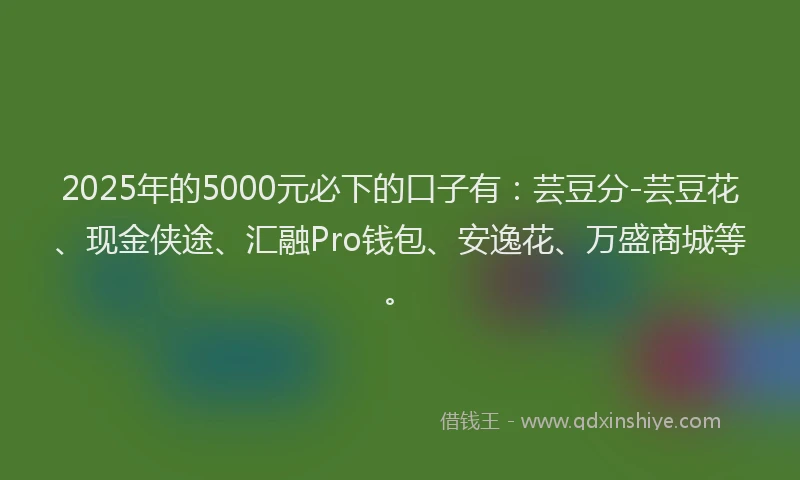 2025年的5000元必下的口子有：芸豆分-芸豆花、现金侠途、汇融Pro钱包、安逸花、万盛商城等。