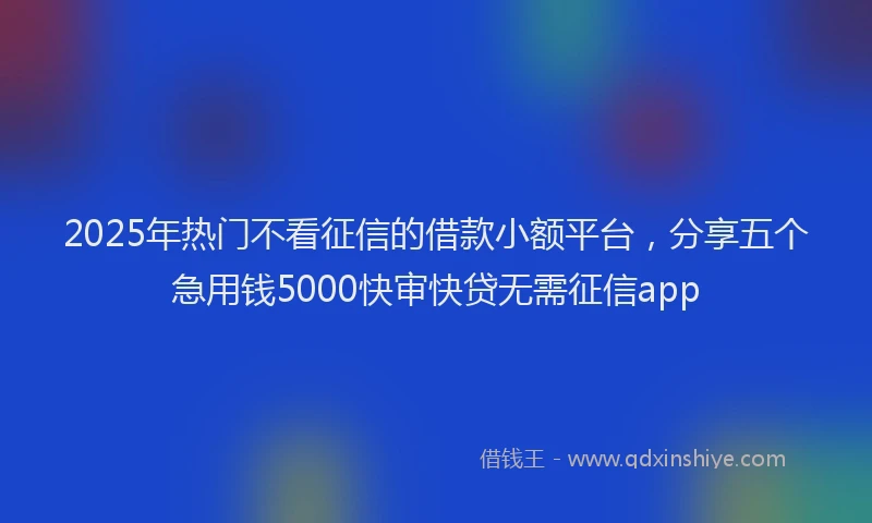 2025年热门不看征信的借款小额平台，分享五个急用钱5000快审快贷无需征信app