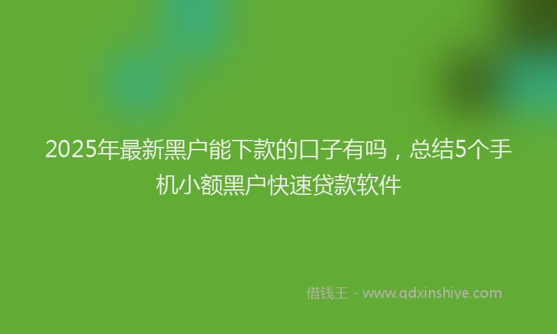 2025年最新黑户能下款的口子有吗，总结5个手机小额黑户快速贷款软件