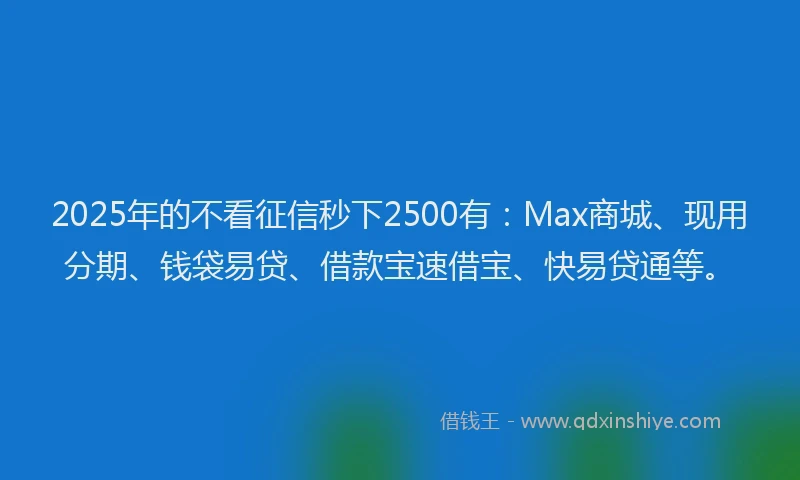 2025年的不看征信秒下2500有：Max商城、现用分期、钱袋易贷、借款宝速借宝、快易贷通等。