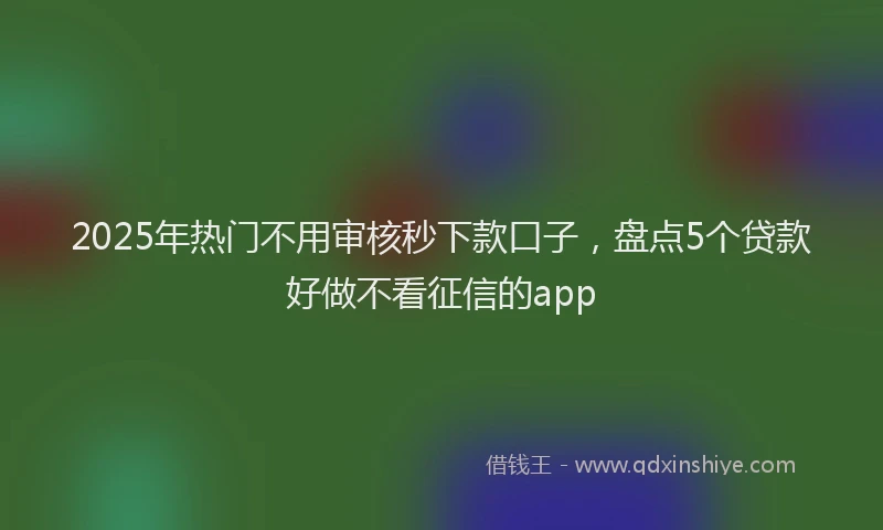 2025年热门不用审核秒下款口子，盘点5个贷款好做不看征信的app