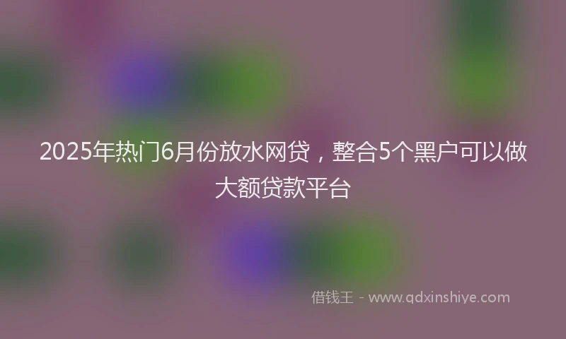 2025年热门6月份放水网贷，整合5个黑户可以做大额贷款平台