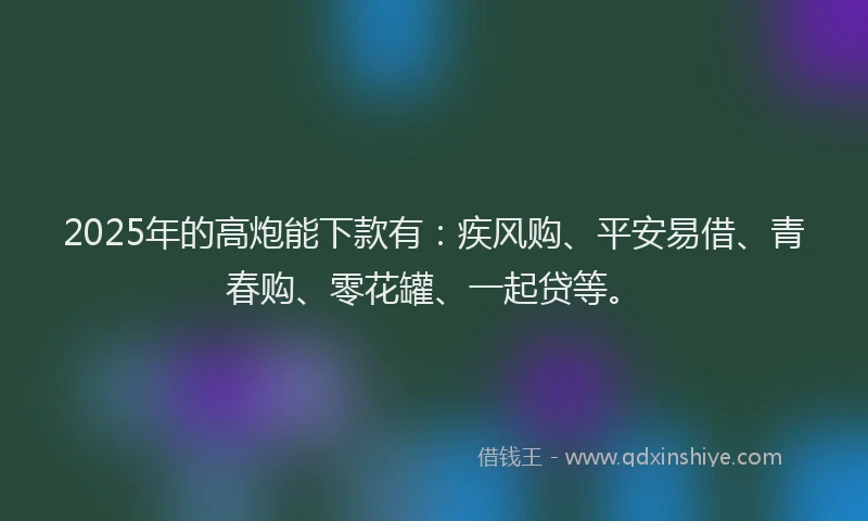 2025年的高炮能下款有：疾风购、平安易借、青春购、零花罐、一起贷等。