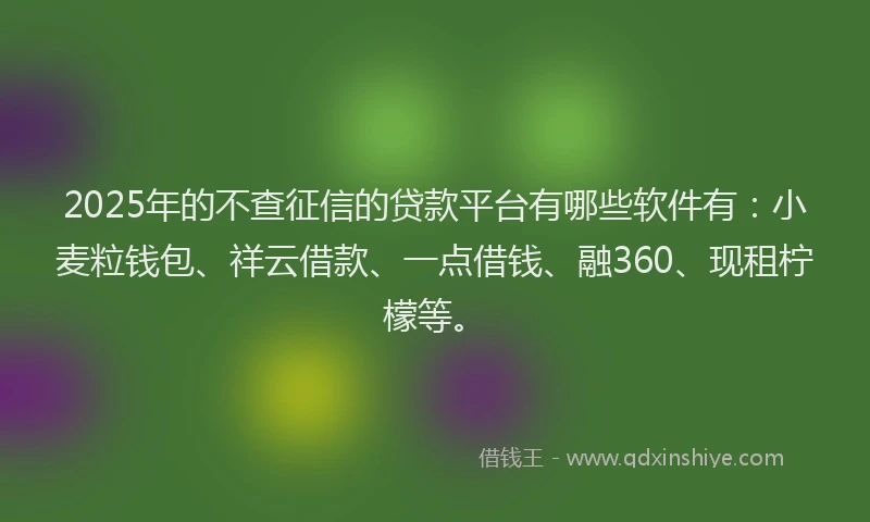 2025年的不查征信的贷款平台有哪些软件有：小麦粒钱包、祥云借款、一点借钱、融360、现租柠檬等。
