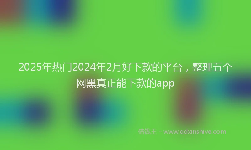 2025年热门2024年2月好下款的平台，整理五个网黑真正能下款的app