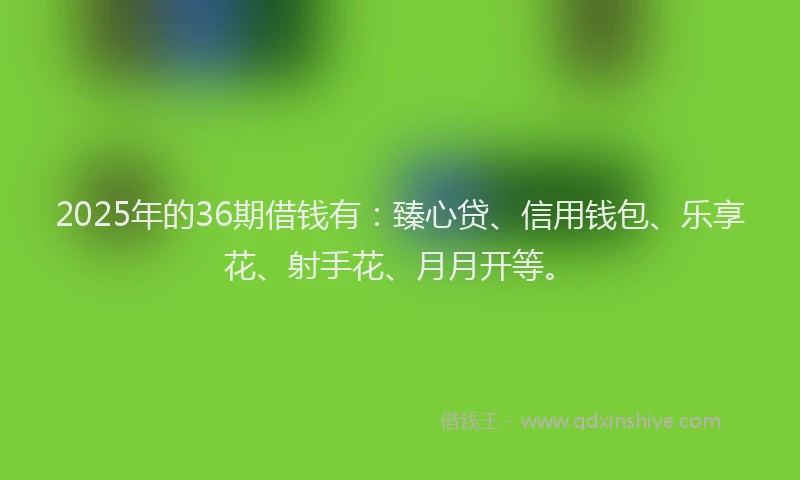2025年的36期借钱有：臻心贷、信用钱包、乐享花、射手花、月月开等。