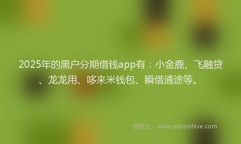 2025年的黑户分期借钱app有：小金鹿、飞融贷、龙龙用、哆来米钱包、瞬借通途等。
