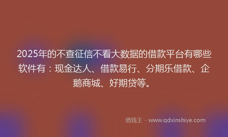 2025年的不查征信不看大数据的借款平台有哪些软件有：现金达人、借款易行、分期乐借款、企鹅商城、好期贷等。