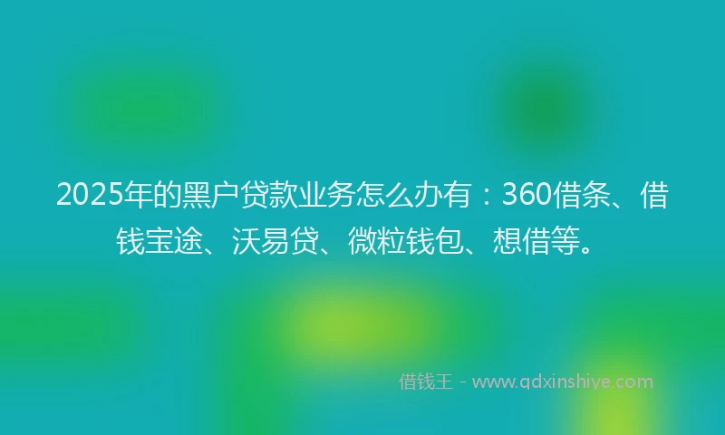 2025年的黑户贷款业务怎么办有：360借条、借钱宝途、沃易贷、微粒钱包、想借等。