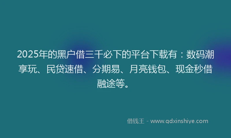 2025年的黑户借三千必下的平台下载有：数码潮享玩、民贷速借、分期易、月亮钱包、现金秒借融途等。