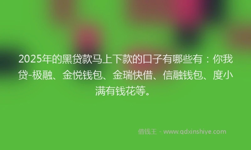 2025年的黑贷款马上下款的口子有哪些有：你我贷-极融、金悦钱包、金瑞快借、信融钱包、度小满有钱花等。