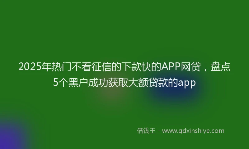 2025年热门不看征信的下款快的APP网贷，盘点5个黑户成功获取大额贷款的app