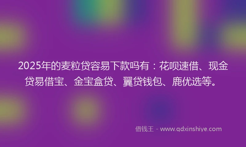 2025年的麦粒贷容易下款吗有：花呗速借、现金贷易借宝、金宝盒贷、翼贷钱包、鹿优选等。