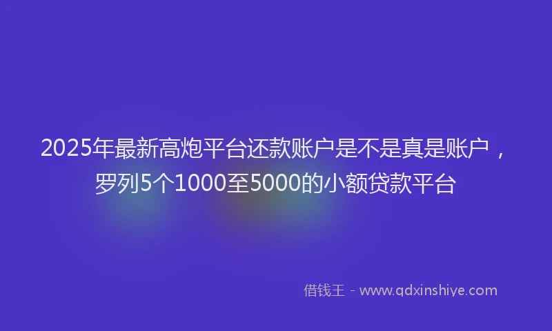 2025年最新高炮平台还款账户是不是真是账户，罗列5个1000至5000的小额贷款平台