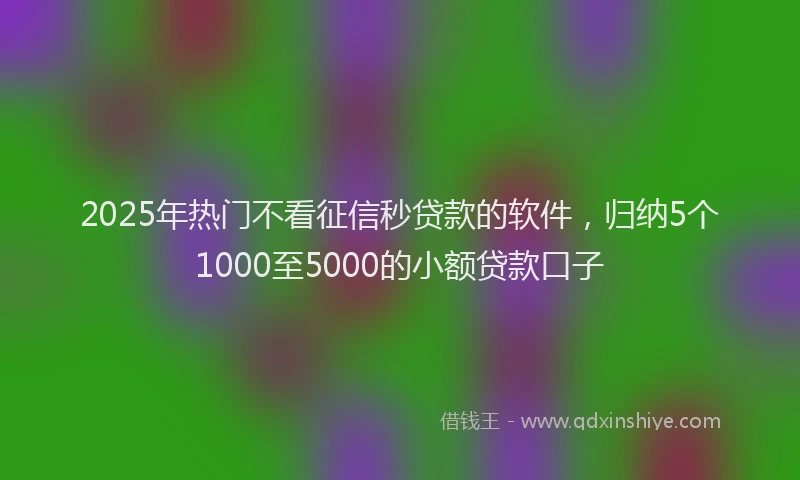 2025年热门不看征信秒贷款的软件，归纳5个1000至5000的小额贷款口子