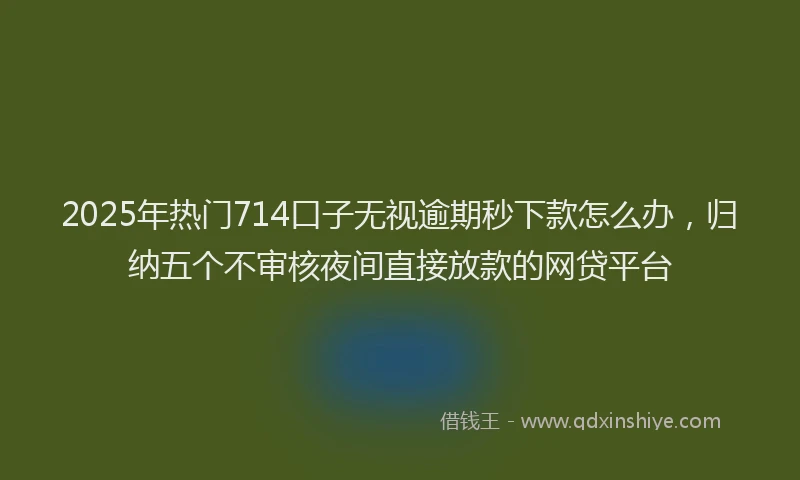 2025年热门714口子无视逾期秒下款怎么办，归纳五个不审核夜间直接放款的网贷平台
