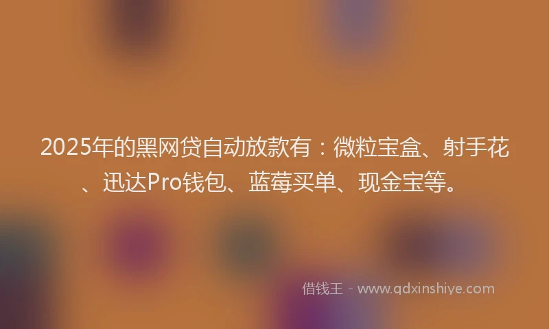 2025年的黑网贷自动放款有：微粒宝盒、射手花、迅达Pro钱包、蓝莓买单、现金宝等。