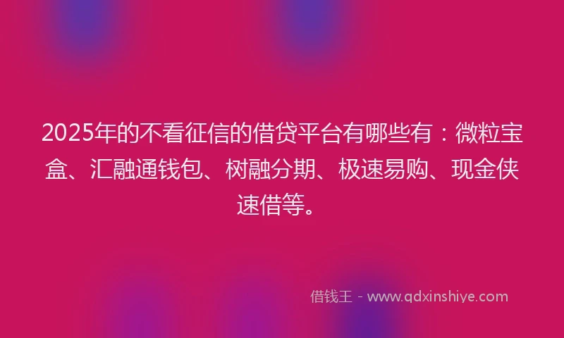 2025年的不看征信的借贷平台有哪些有：微粒宝盒、汇融通钱包、树融分期、极速易购、现金侠速借等。