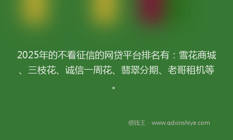 2025年的不看征信的网贷平台排名有：雪花商城、三枝花、诚信一周花、翡翠分期、老哥租机等。