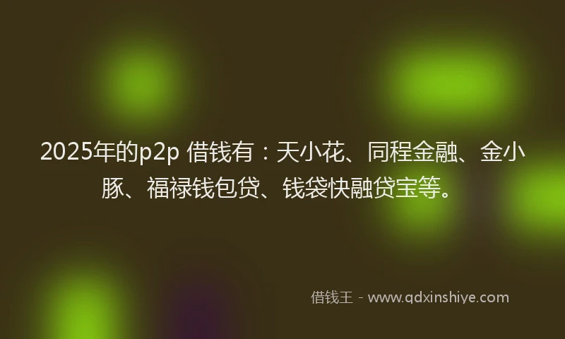 2025年的p2p 借钱有：天小花、同程金融、金小豚、福禄钱包贷、钱袋快融贷宝等。
