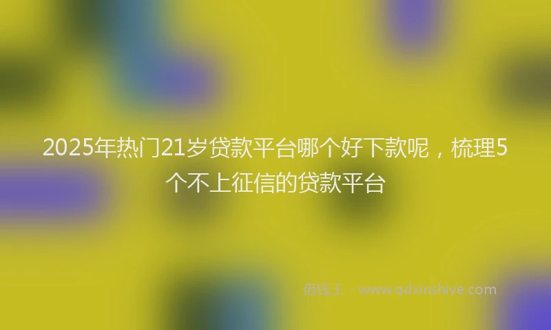 2025年热门21岁贷款平台哪个好下款呢，梳理5个不上征信的贷款平台