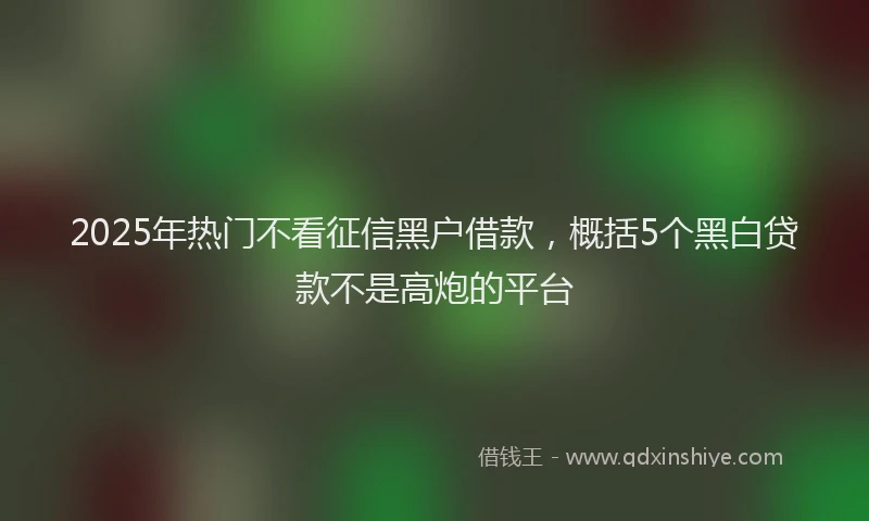 2025年热门不看征信黑户借款，概括5个黑白贷款不是高炮的平台