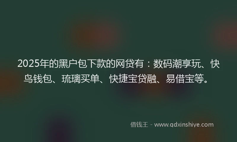 2025年的黑户包下款的网贷有：数码潮享玩、快鸟钱包、琉璃买单、快捷宝贷融、易借宝等。