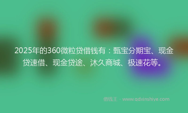 2025年的360微粒贷借钱有：甄宝分期宝、现金贷速借、现金贷途、沐久商城、极速花等。