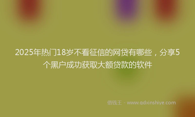 2025年热门18岁不看征信的网贷有哪些，分享5个黑户成功获取大额贷款的软件