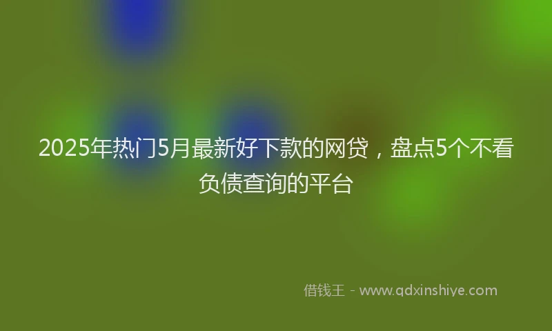 2025年热门5月最新好下款的网贷，盘点5个不看负债查询的平台
