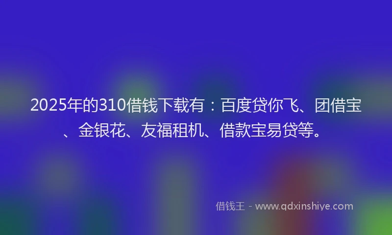 2025年的310借钱下载有：百度贷你飞、团借宝、金银花、友福租机、借款宝易贷等。