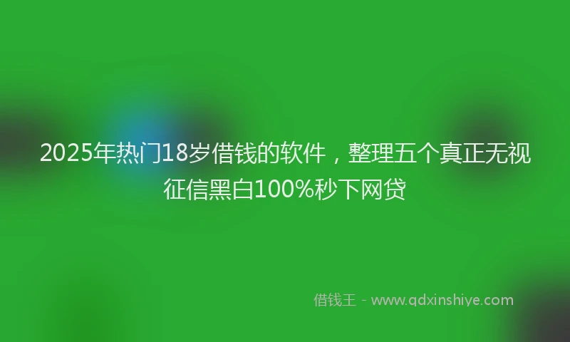 2025年热门18岁借钱的软件，整理五个真正无视征信黑白100%秒下网贷
