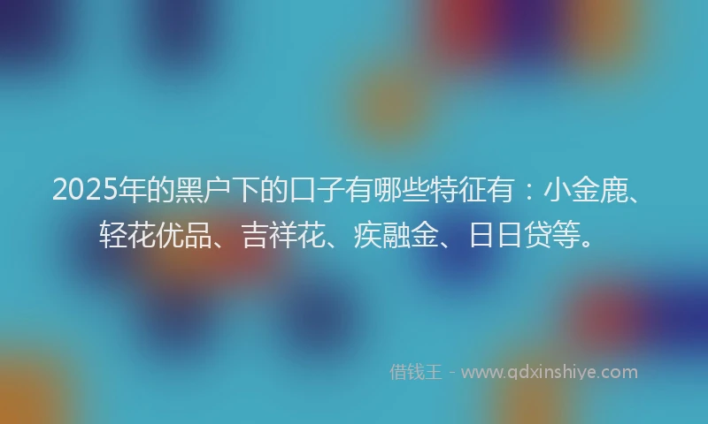 2025年的黑户下的口子有哪些特征有：小金鹿、轻花优品、吉祥花、疾融金、日日贷等。