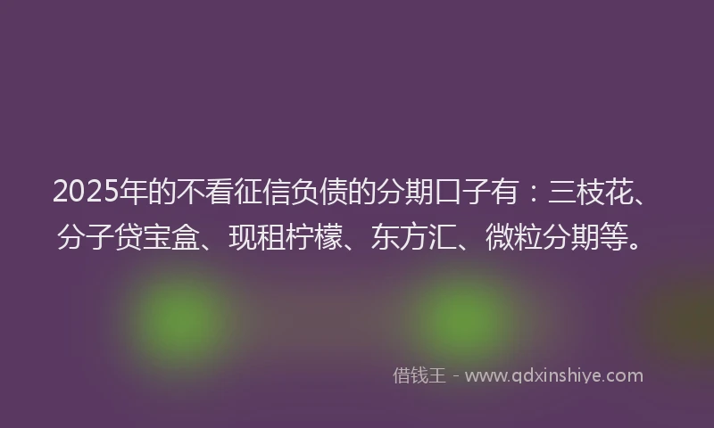 2025年的不看征信负债的分期口子有：三枝花、分子贷宝盒、现租柠檬、东方汇、微粒分期等。
